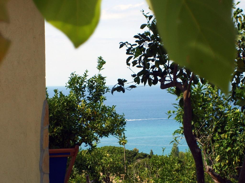 Villa Goddess Yard Tropea Exterior foto